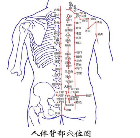 背部中間有痣|【背部的痣】背部的痣藏著大玄機！六大富貴痣相，快來看看你中。